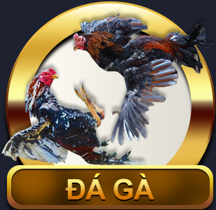 Live Đá Gà S128 – Đá Gà Thomo Campuchia – Philippines